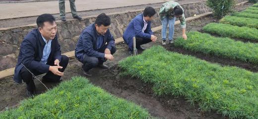 韓家園林業(yè)局 以創(chuàng)新思維探索林木種苗生產(chǎn)經(jīng)營(yíng)新路徑