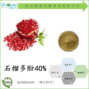 40元以下性價(jià)比手機(jī)推薦 型號(hào)、價(jià)格與圖片解析